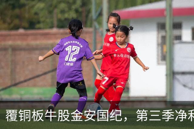 覆铜板牛股金安国纪，第三季净利暴增超1000%！